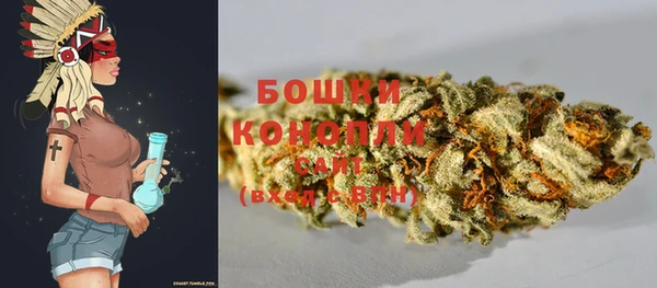 гидра Аркадак