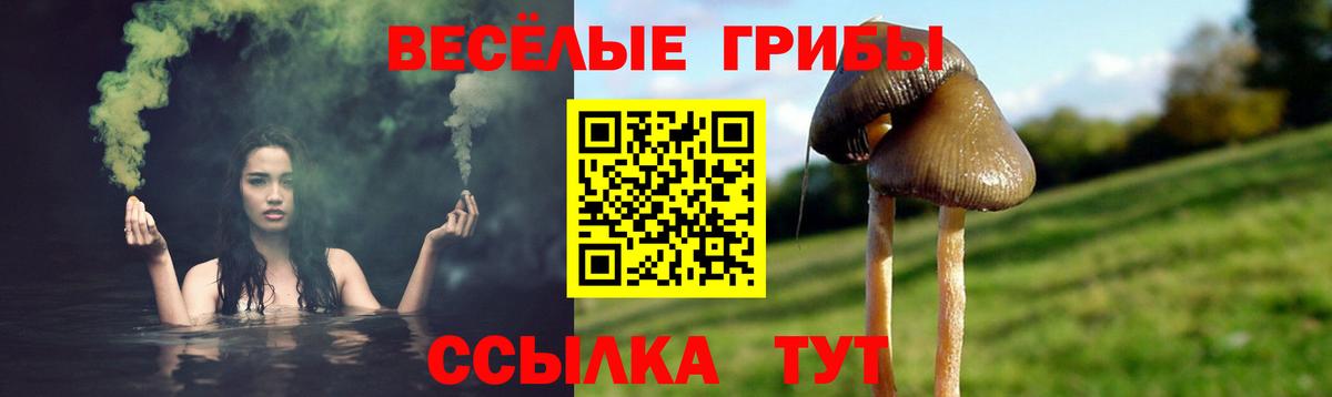 Галлюциногенные грибы ЛСД  Вход с VPN  Ступино 