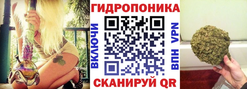 Бошки Шишки OG Kush  купить наркотики сайты  Ступино 